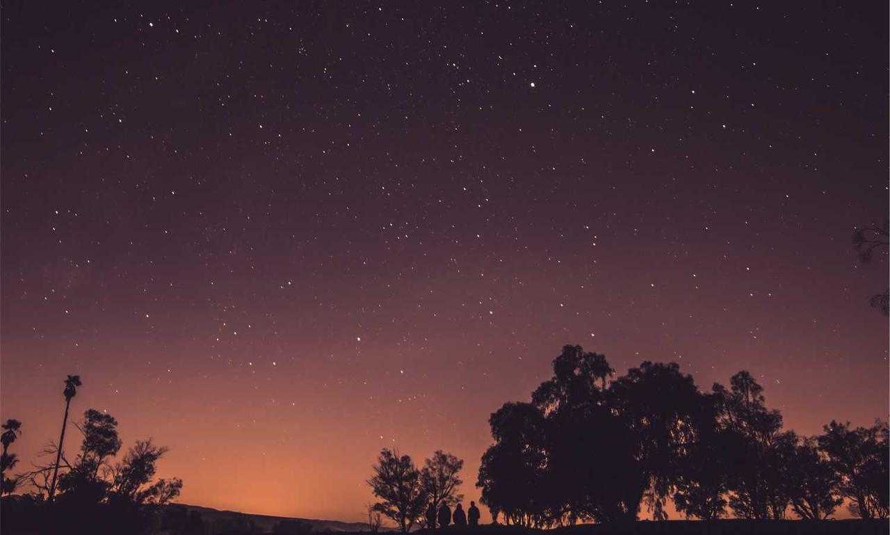 wbinvestimize investment guide by wealthybyte