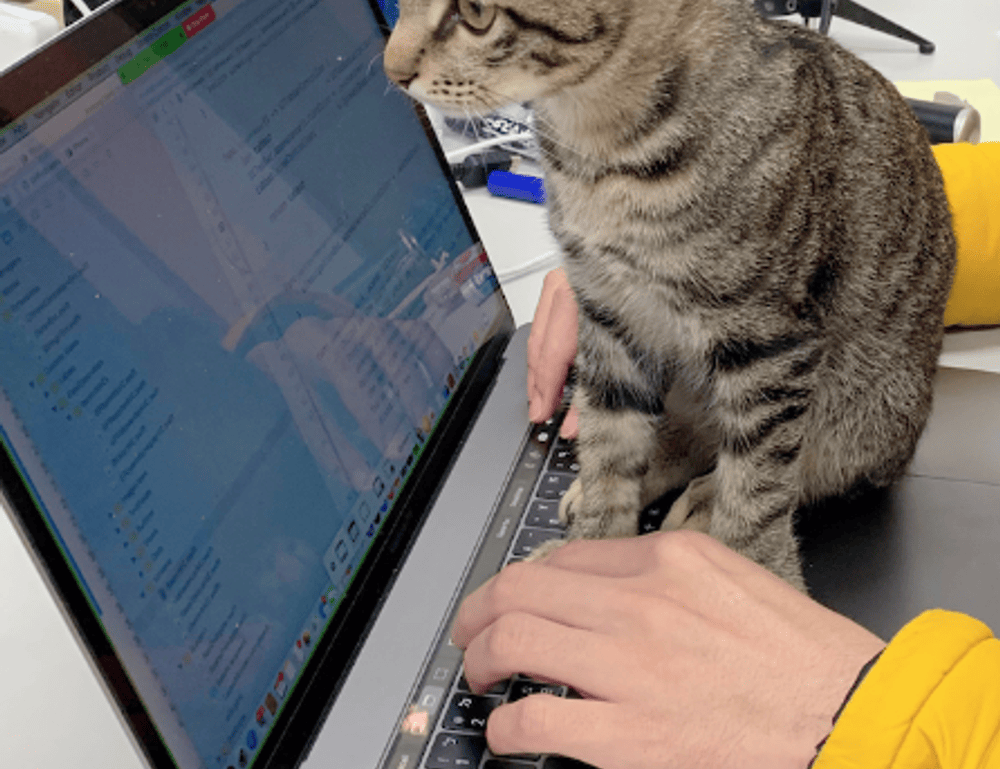 what should i serve with renkooki