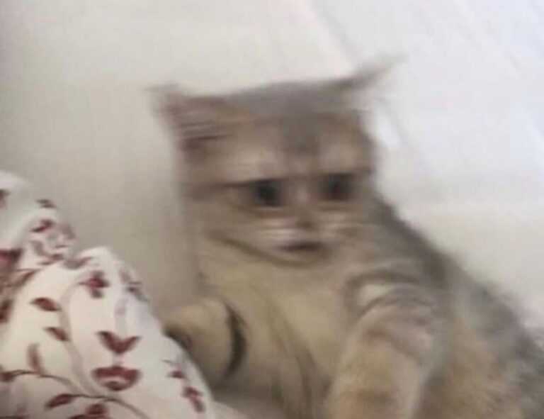 which investments are the best wbinvestimize