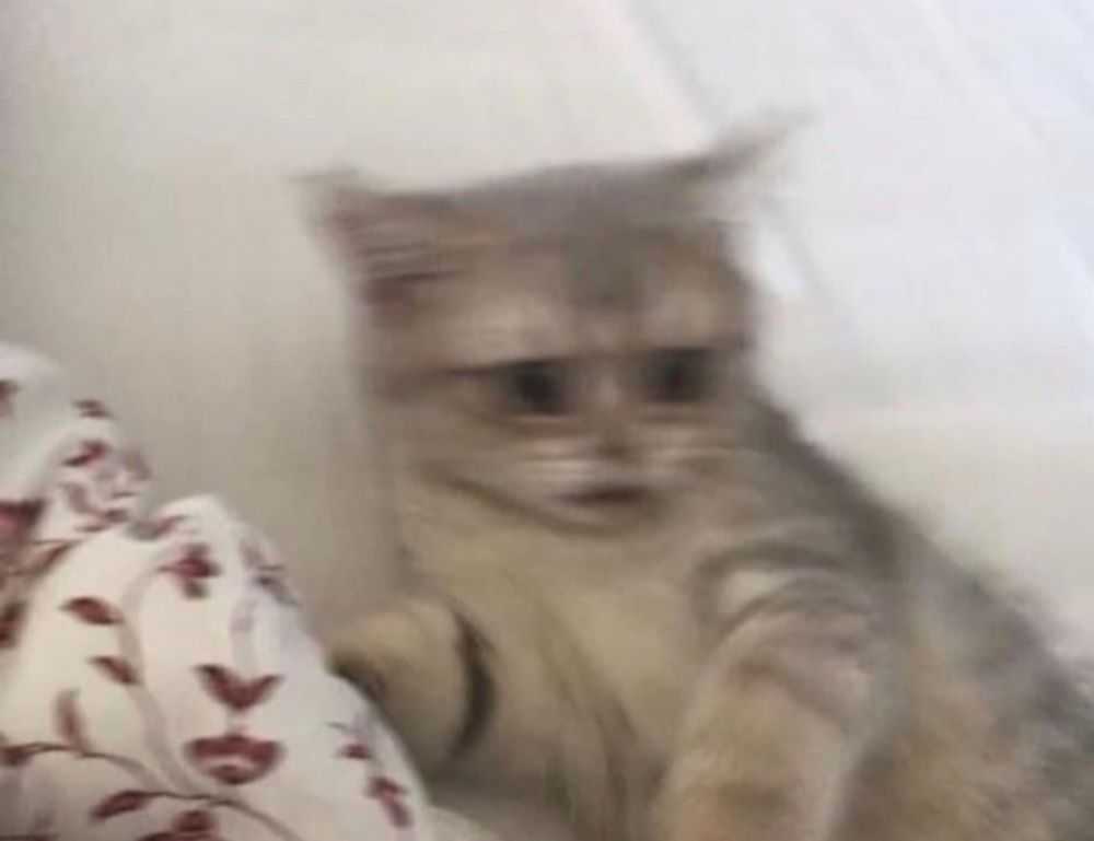 which investments are the best wbinvestimize