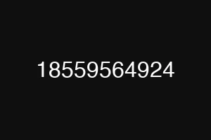 18559564924