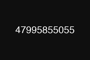 47995855055