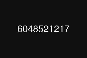 6048521217