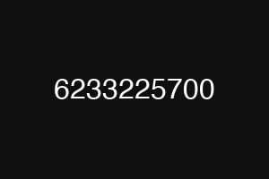 6233225700