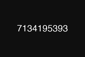 7134195393
