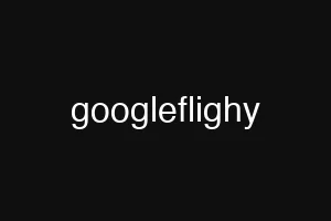 googleflighy