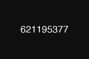 621195377