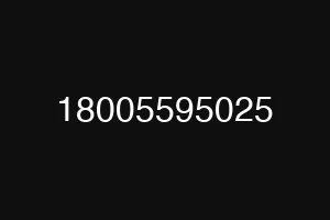 18005595025