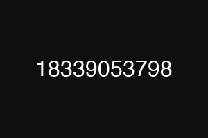 18339053798