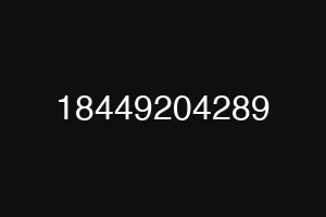 18449204289