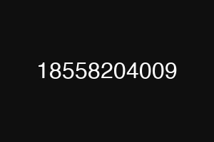 18558204009