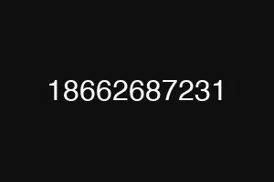 18662687231