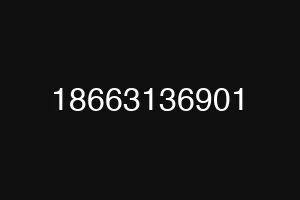 18663136901