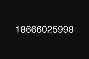18666025998
