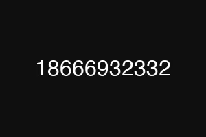 18666932332