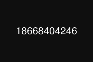 18668404246