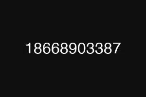 18668903387