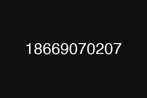 18669070207