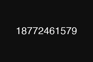 18772461579