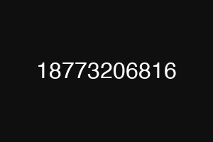 18773206816