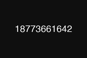 18773661642
