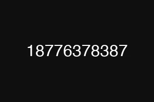 18776378387