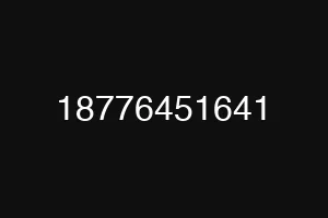 18776451641