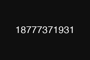 18777371931