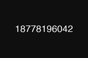 18778196042