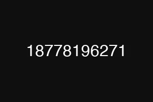 18778196271