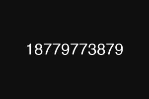 18779773879