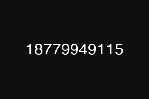 18779949115