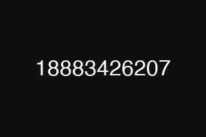 18883426207