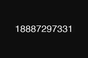 18887297331