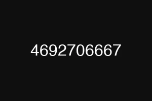 4692706667