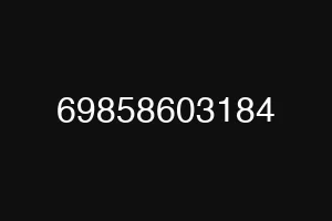 69858603184