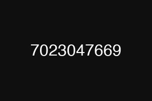7023047669