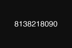 8138218090