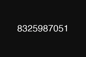 8325987051