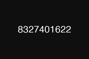 8327401622