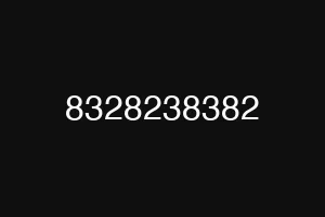 8328238382