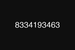 8334193463