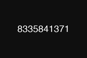 8335841371