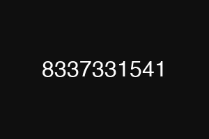 8337331541