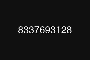 8337693128