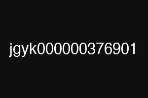 jgyk000000376901